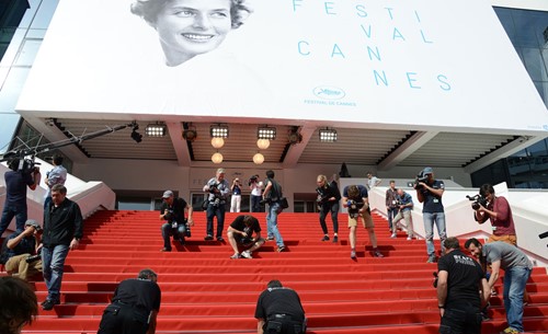 Se-Yap Sinemacılar Meslek Birliği; Cannes Film Festivali Katılımları